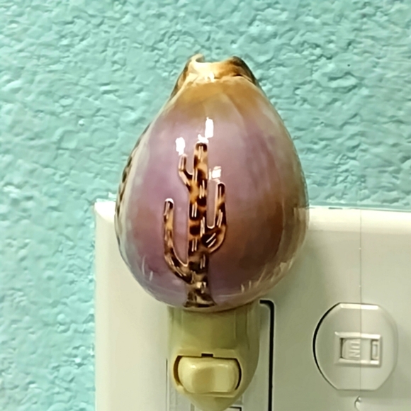 Carved Tiger Cowrie Cactus Night Light - Picture 3 of 9